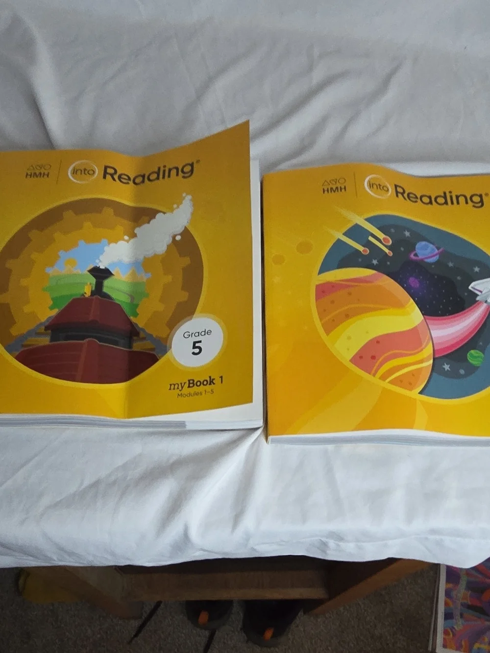 H&M Yellow Grade 5 Into Reading MyBook Set - 2 Book Covers